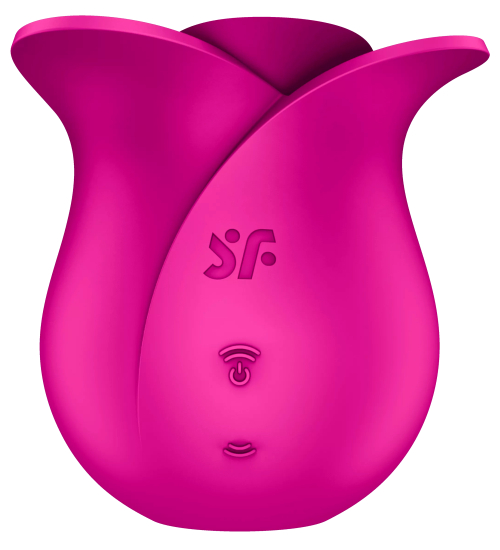 Povzbuzující květ růže