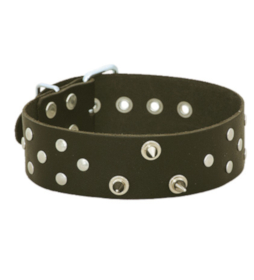 Obojek s hroty a puky