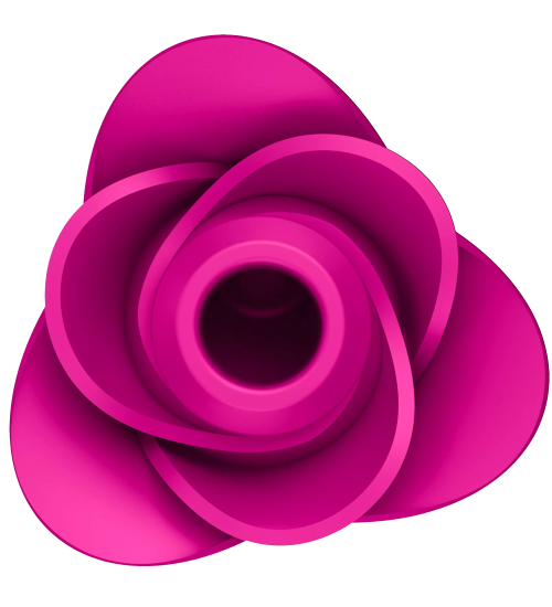 Povzbuzující květ růže