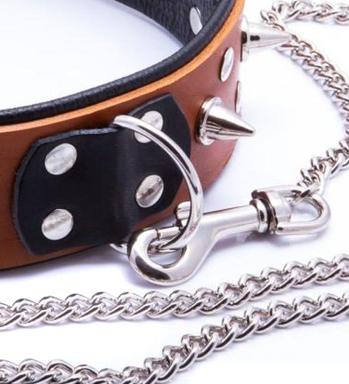 Pánský obojek s vodítkem