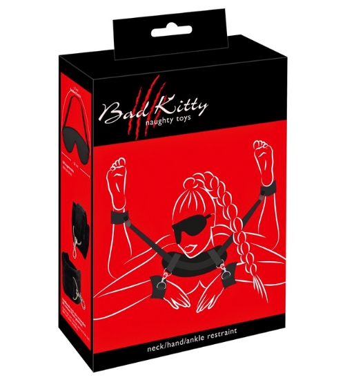 Sada zádržného systému pro celé tělo s maskou