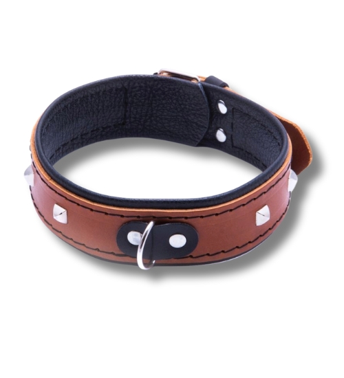 Krásný obojek bez vodítka pro ženy