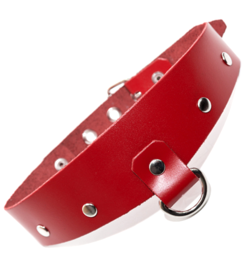 Kožený obojek s půlkruhem