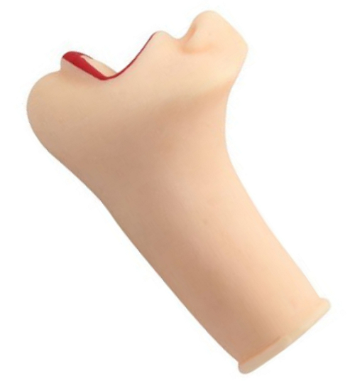 Smyslné falešné rty