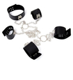 BDSM slave set