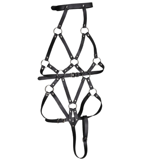 Provokativní dámské postroje