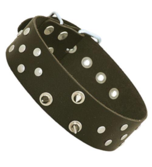 Obojek s hroty a puky