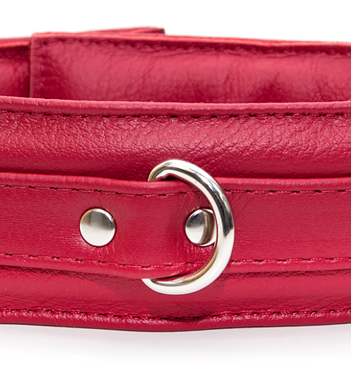 Červený kožený obojek