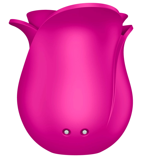 Povzbuzující květ růže