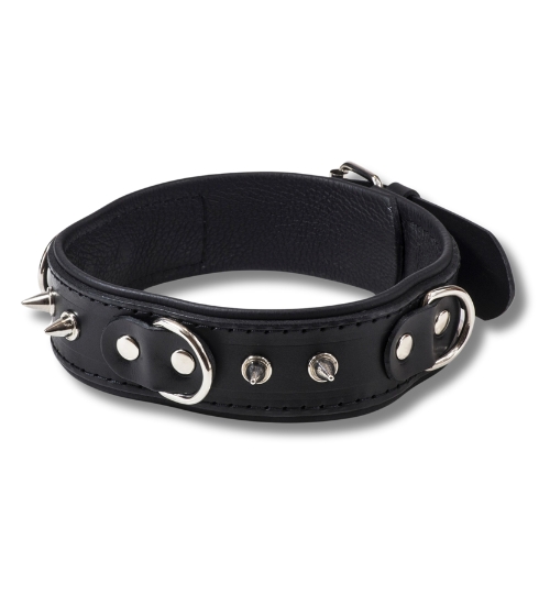 Obojek s ostny a vodítkem - pro něj