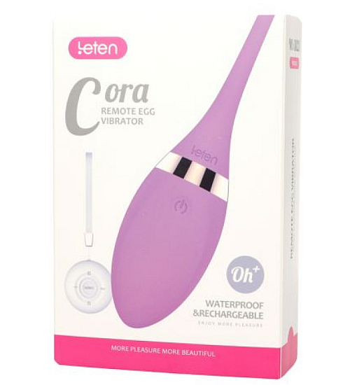 Vajíčko s bezdrátovým dálkovým ovládáním