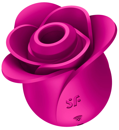 Povzbuzující květ růže