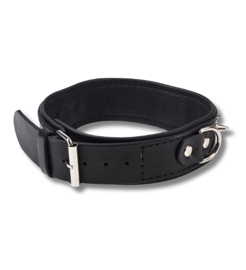 Obojek s ostny a vodítkem - pro něj